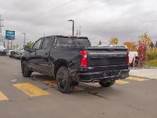 2024 Chevrolet Silverado 1500 RST True North 5.3L Z71 - Photo 8