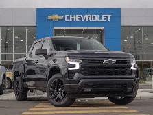 2024 Chevrolet Silverado 1500 RST True North 5.3L Z71 - Photo 14