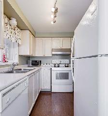 3 1 Bedroom House For Rent Near RVH at 176 Tunbridge Rd - Photo 12
