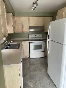 3 1 Bedroom House For Rent Near RVH at 176 Tunbridge Rd - Photo 13