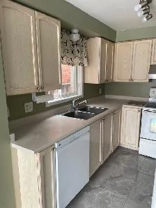 3 1 Bedroom House For Rent Near RVH at 176 Tunbridge Rd - Photo 14