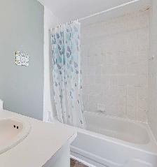 3 1 Bedroom House For Rent Near RVH at 176 Tunbridge Rd - Photo 18