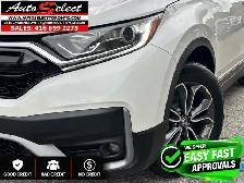 2020 Honda CR-V EX-L Leather - Sunroof - Apple Carplay - Clea... - Photo 7