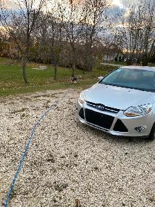 2012 Ford Focus SE hatchback-2900 obo ! - Photo 7