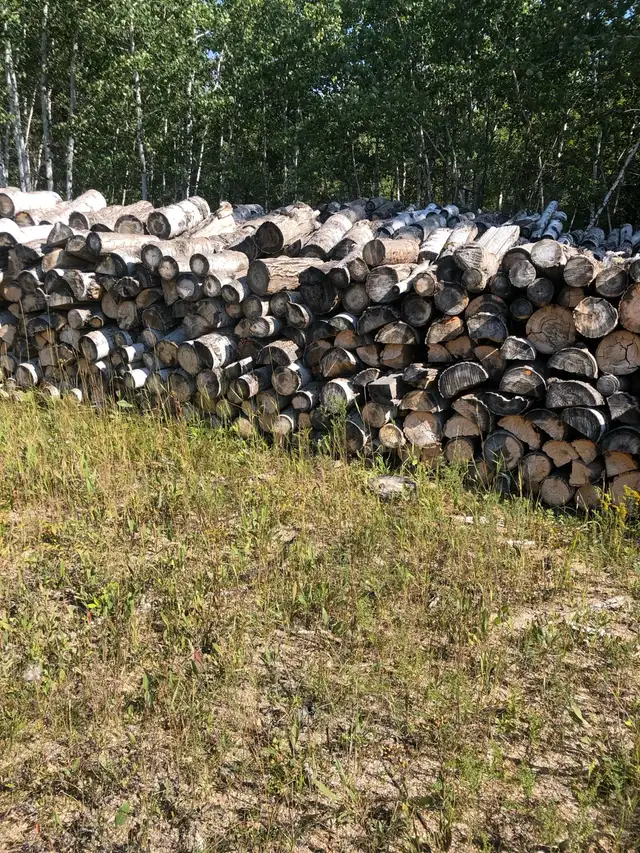 FIREWOOD