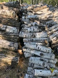 FIREWOOD - Photo 2
