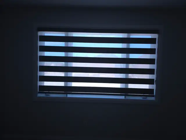 Cellular Blinds for Offices