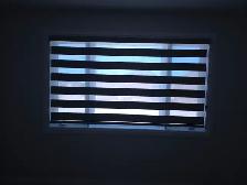 Cellular Blinds for Offices
