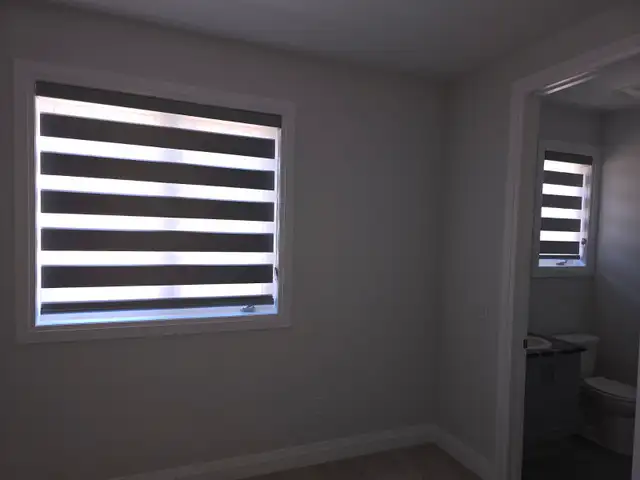 Dual Shades – Modern Two-in-One