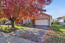 Brick Bungalow on a Quiet Springridge Street, Orleans – $805,900 - Photo 10