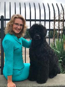 Portuguese Water Dog Puppies - Photo 7