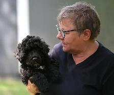 Portuguese Water Dog Puppies - Photo 9