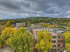 Lux Furnished Condo for Rent Steps to central Montreal to Mar 1 - Photo 8