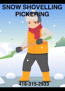 SNOW SNOWBLOWER SHOVEL DRIVEWAY PICKERING