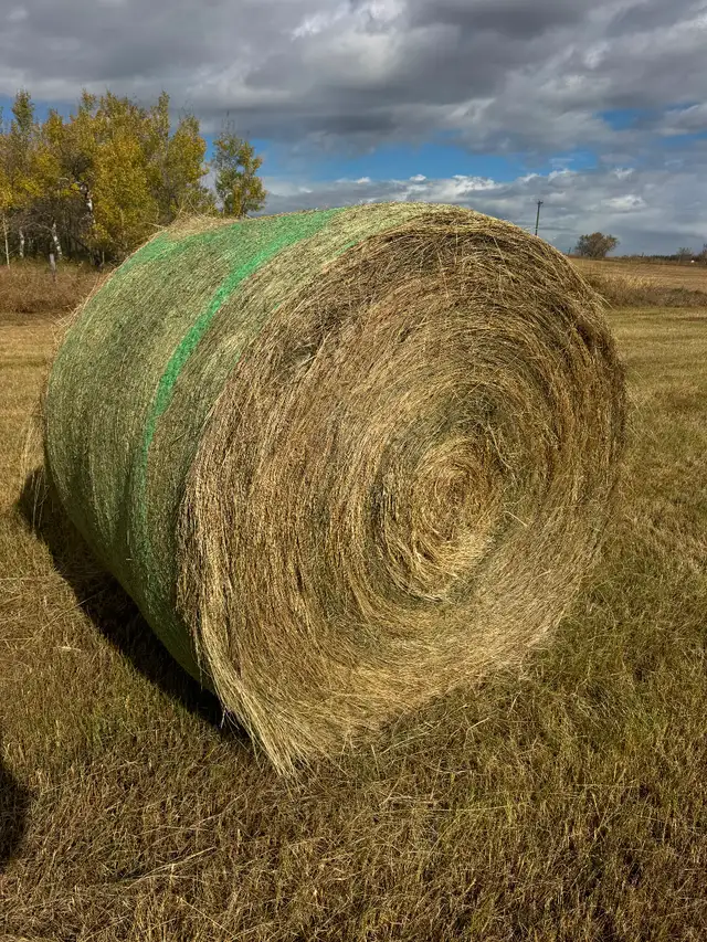 Hay bales