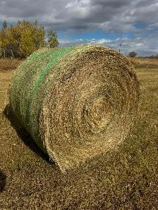 Hay bales