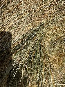 Hay bales - Photo 2