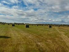 Hay bales - Photo 3
