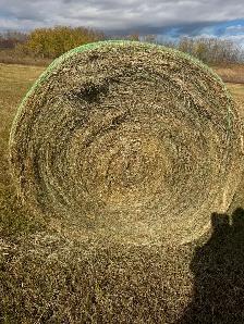 Hay bales - Photo 4