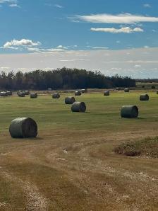 Hay bales - Photo 5