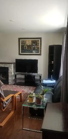 Roommate Yonge Sheppard area. - Photo 10