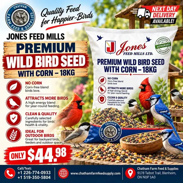 Bird Seed
