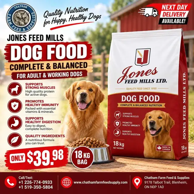 Organic Dog food