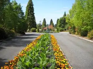 Single Burial Plot for Sale — Dominion, Oceanview Cemetery