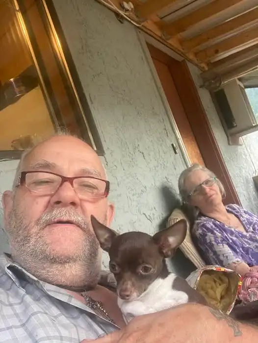 2 baby chihuahua girls for sale