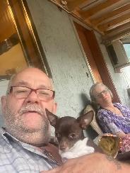 2 baby chihuahua girls for sale