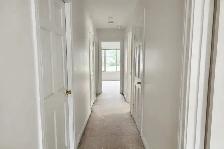 Professional Painters in Oshawa — 416-838-1391 - Photo 10