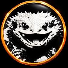 Dragon barbu nés chez Désertéric - Photo 7