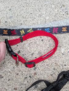 Pet supplies bundle - Photo 4