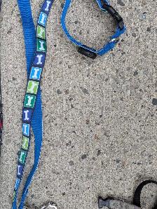 Pet supplies bundle - Photo 6
