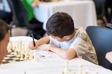 Professeur d'échecs en parascolaire recherché - Photo 2