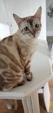 Winnie recherche une nouvelle famille - Photo 3