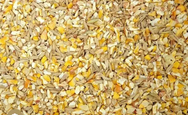 CHICKEN PIGEON FEED CORN CRUMBLE ETC $50