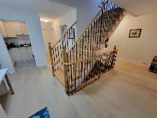 Room for Rent / York Uni. Village / North York - Photo 3
