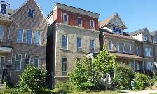 Room for Rent / York Uni. Village / North York - Photo 8