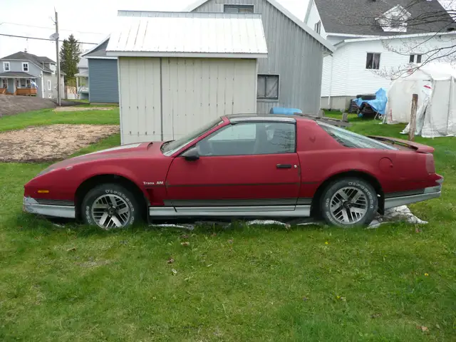 Trans am 1984 pour projet de restauration