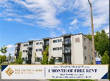 Renovated 1 & 2 Bedroom Apartments | 1 MONTH FREE | 80 McGee St - Photo 3