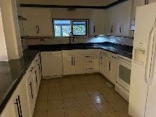 For Rent Modern 3-Bedroom Home with Walkout & Spacious Outdoors - Photo 3