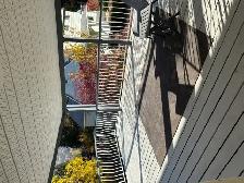 For Rent Modern 3-Bedroom Home with Walkout & Spacious Outdoors - Photo 6