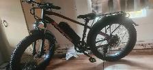 velo electrique
