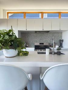 1 Bedroom 1 Bath  - All Inclusive - Short Term Rental - Photo 7
