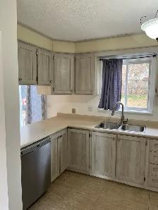 Apartment in Triplex for Rent in Aylmer - Photo 3