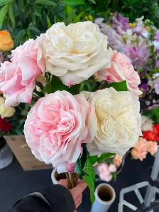 Brand New Artificial flowers and Plants Special from $1 to $299 - Photo 5