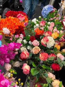 Brand New Artificial flowers and Plants Special from $1 to $299 - Photo 8