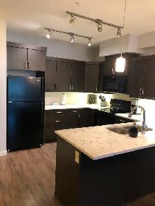 1 Bedroom 1 Bathroom Condo