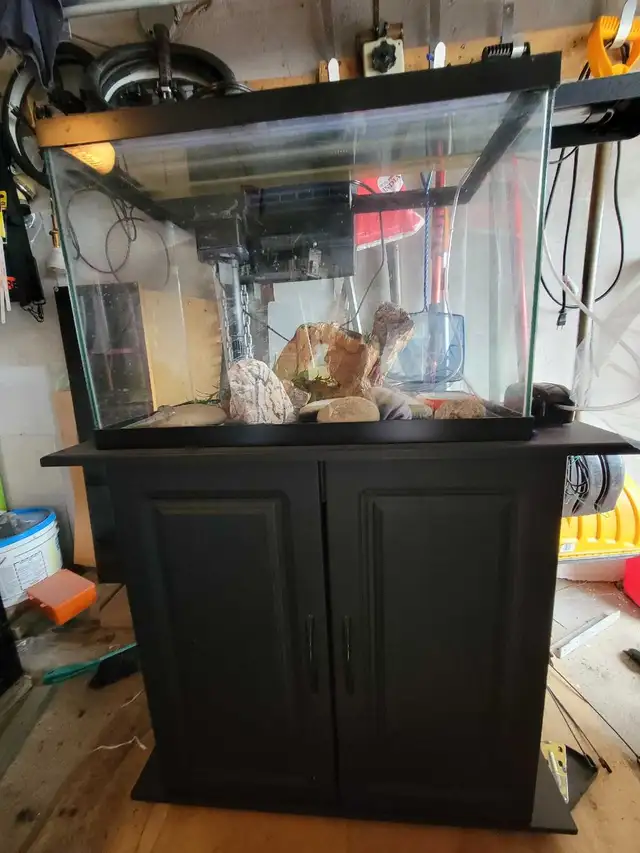 20 Gallon Aquarium